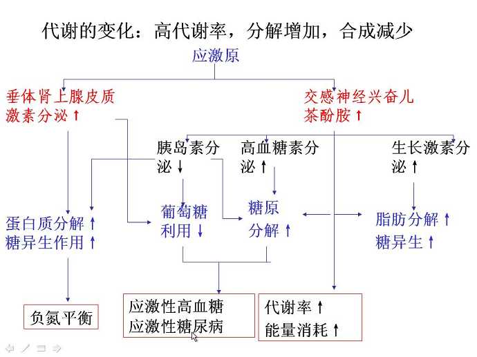 病理生理学视频教程